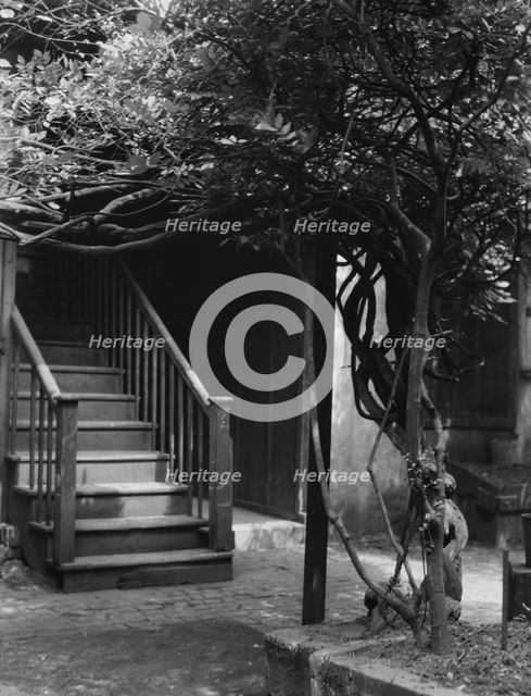 Stairway in a courtyard, New Orleans, between 1920 and 1926. Creator: Arnold Genthe.