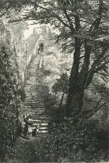 Staircase to Carisbrook Keep c1870