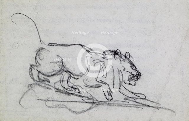 Stalking Lion, c1830. Creator: Antoine-Louis Barye.