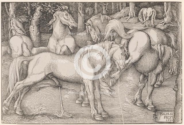 Stallion and Kicking Mare, 1534. Creator: Baldung (Baldung Grien), Hans (1484-1545).