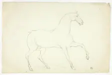 Stallion, n.d. Creator: Abraham Cooper