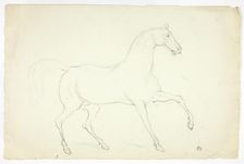 Stallion, n.d. Creator: Abraham Cooper