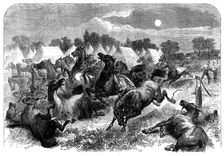 Stampede of cavalry horses at Aldershott Camp, 1871. Creator: Unknown