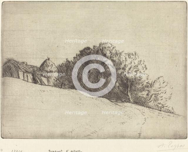 Stand of Trees (Bouquet d'arbres). Creator: Alphonse Legros.