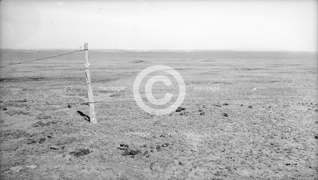 Stand of vega grass eaten off close, New Mexico, 1935. Creator: Dorothea Lange.