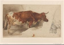 Standing cow, to the right, and sketch of a cow, 1845-1926. Creator: Willem Carel Nakken