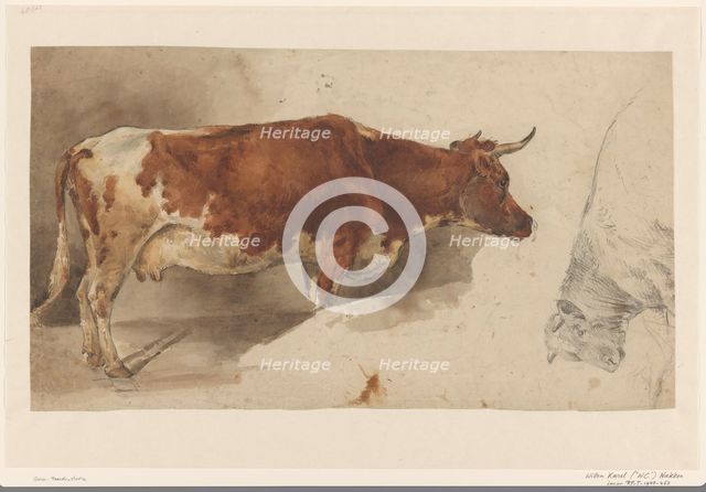 Standing cow, to the right, and sketch of a cow, 1845-1926. Creator: Willem Carel Nakken.
