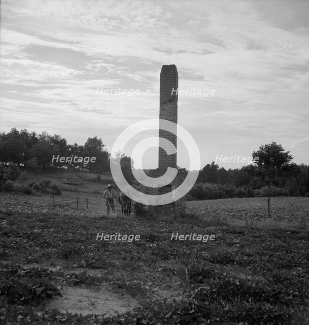 Standing chimneys, Greene County, Georgia, 1937. Creator: Dorothea Lange.