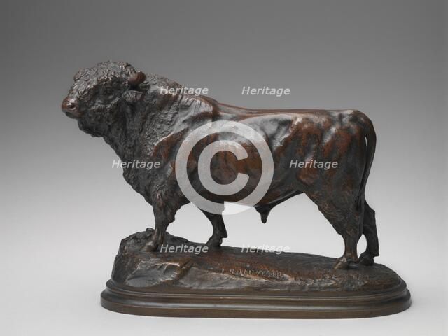 Standing Angus Bull, model second half 19th century. Creator: Isidore-Jules Bonheur.