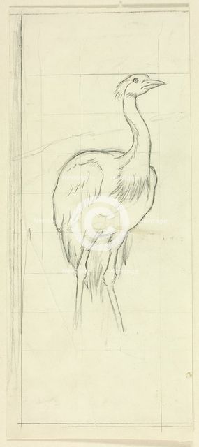 Standing Bird, n.d. Creator: Henry Stacy Marks.