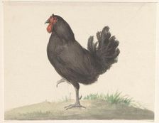 Standing black chicken, 1775-1833. Creator: Jean Bernard