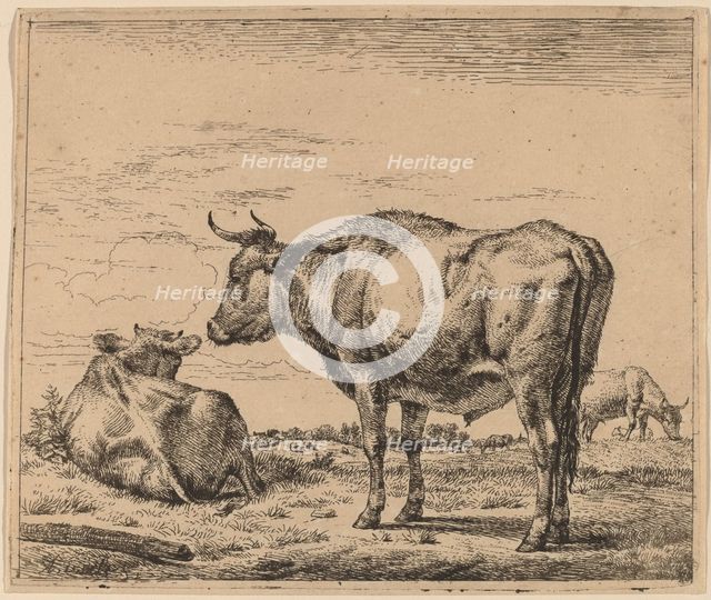 Standing Bull, c. 1657/1659. Creator: Adriaen van de Velde.