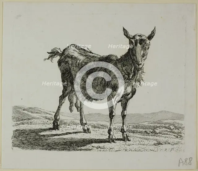 Standing Goat, from Die Zweite Thierfolge, 1800. Creator: Johann Christian Reinhart.