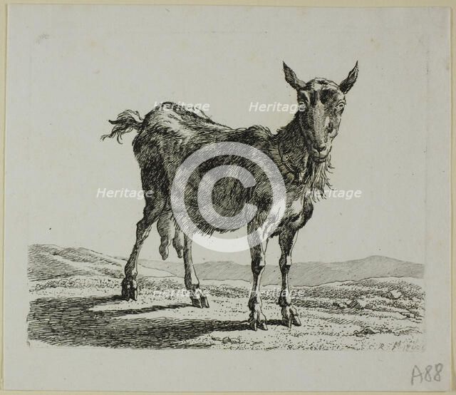 Standing Goat, from Die Zweite Thierfolge, 1800. Creator: Johann Christian Reinhart.
