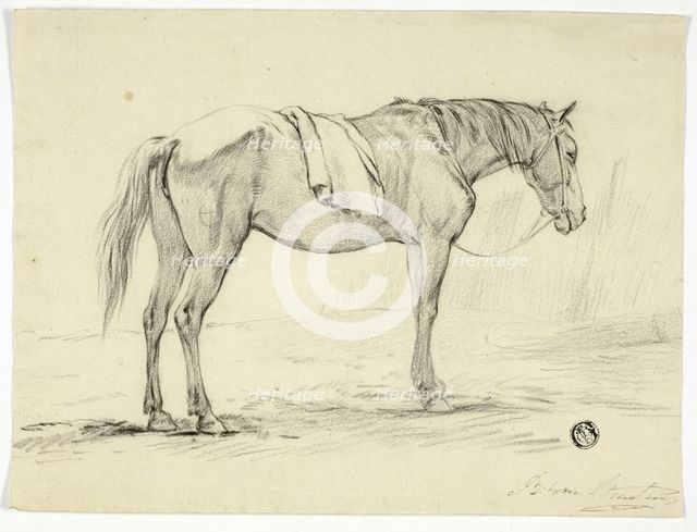 Standing Horse, n.d. Creator: Unknown.