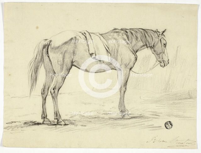 Standing Horse, n.d. Creator: Unknown.