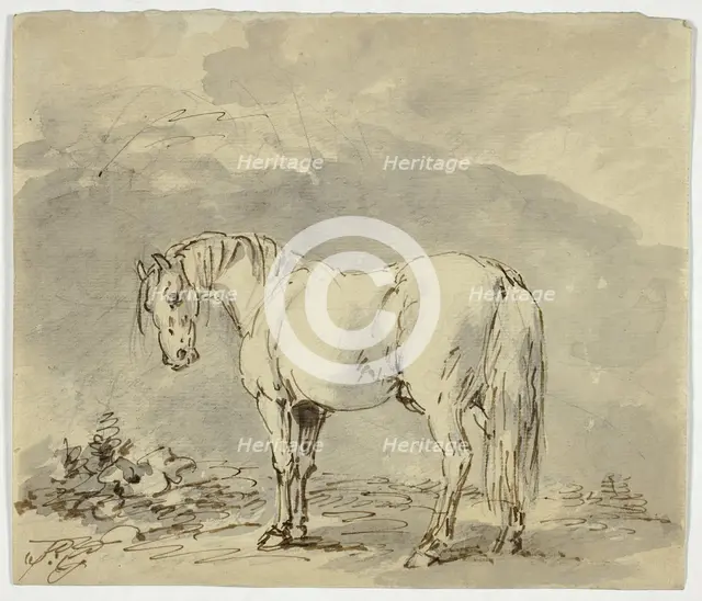Standing Horse with Head Turned, n.d. Creator: Sawrey Gilpin.
