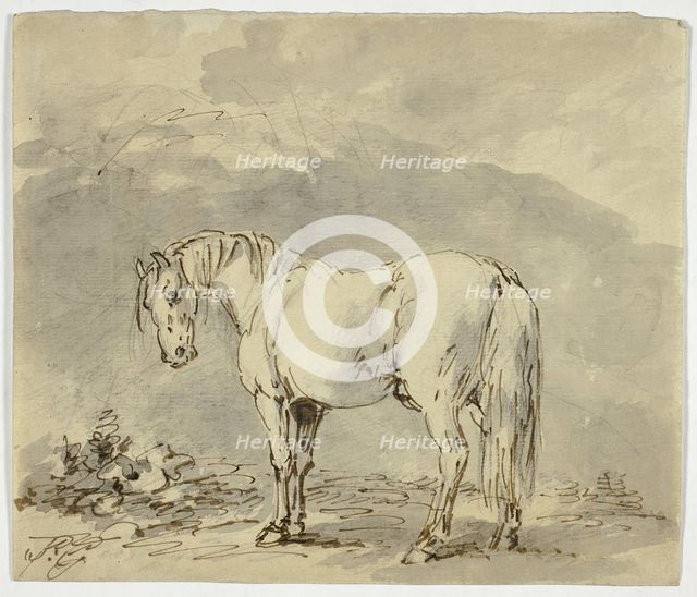 Standing Horse with Head Turned, n.d. Creator: Sawrey Gilpin.