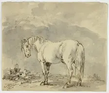 Standing Horse with Head Turned, n.d. Creator: Sawrey Gilpin