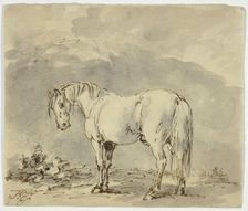 Standing Horse with Head Turned, n.d. Creator: Sawrey Gilpin