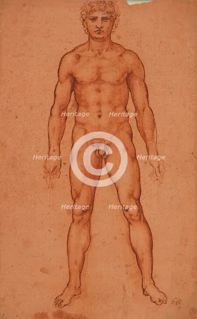 Standing male nude, 1503-1506. Creator: Leonardo da Vinci (1452-1519).