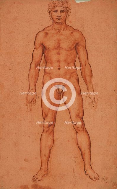 Standing male nude, 1503-1506. Creator: Leonardo da Vinci (1452-1519).