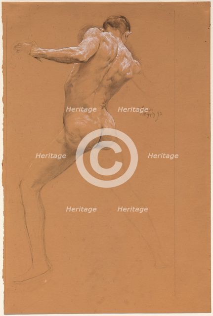 Standing Male Nude from Behind, 1893. Creator: Otto Greiner.