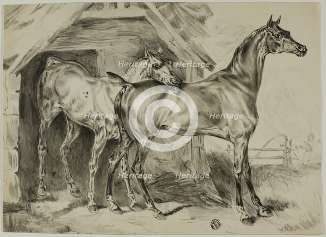 Standing Mare and Colt, n.d. Creator: Unknown.
