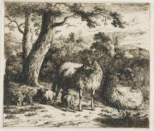 Standing Sheep and Two Lambs, 1685. Creator: Jan van der Meer