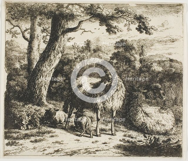 Standing Sheep and Two Lambs, 1685. Creator: Jan van der Meer.