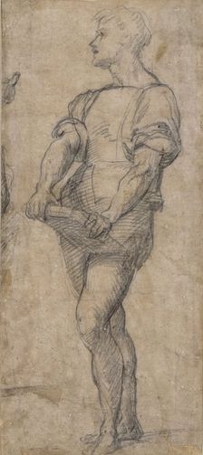 Standing youth holding a book, ca 1515. Artist: Andrea del Sarto (1486-1531)
