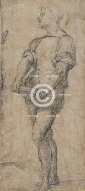 Standing youth holding a book, ca 1515. Artist: Andrea del Sarto (1486-1531)
