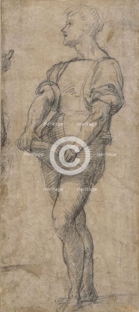 Standing youth holding a book, ca 1515. Artist: Andrea del Sarto (1486-1531)
