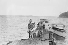 Stanford Varsity, between c1910 and c1915. Creator: Bain News Service