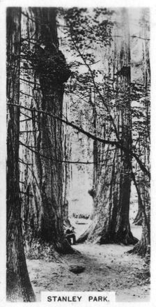 Stanley Park, Vancouver, Canada, c1920s