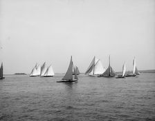 Start, Atlantic Yacht Club regatta, 1897 June 15. Creator: John S Johnston