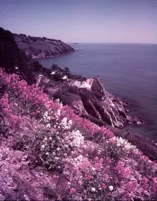 Start Bay, Devon, c1955. Creator: Arthur Charles Kirby Ware