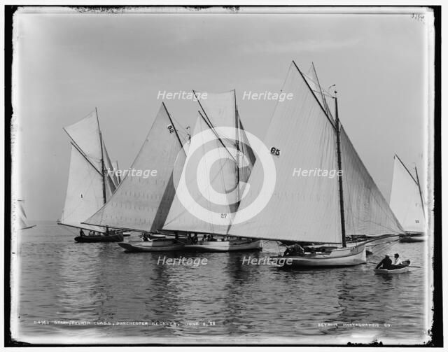Start, fourth class, Dorchester regatta, 1888 June 18. Creator: Unknown.