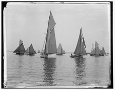 Start, first class, Dorchester regatta, 1888 June 18. Creator: Unknown