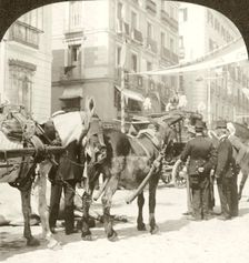 State Coach, Calle Mayor, Madrid.Artist: Excelsior Stereoscopic Tours