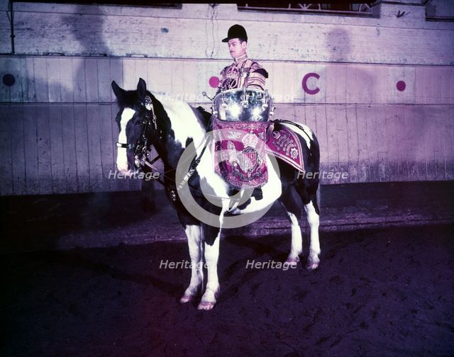 State drummer on horse, London, c1953.  Creator: Arthur Charles Kirby Ware.