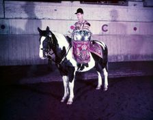 State drummer on horse, London, c1953. Creator: Arthur Charles Kirby Ware
