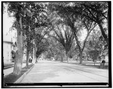 State Street, Ithaca, N.Y., between 1900 and 1906. Creator: Unknown