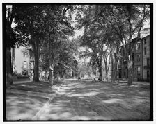 State Street, looking toward Longfellow monument, Portland, Me., between 1900 and 1915. Creator: Unknown