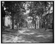 State Street, looking toward Longfellow monument, Portland, Me., between 1900 and 1915. Creator: Unknown