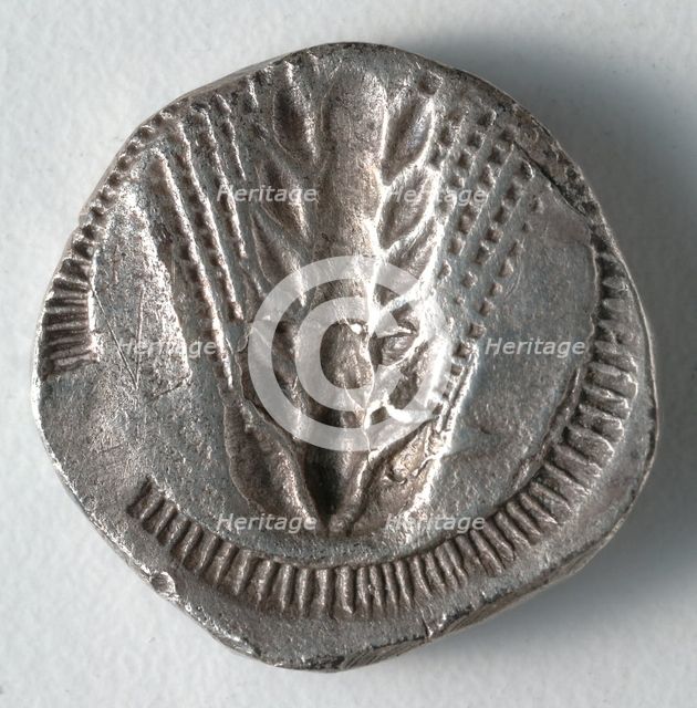 Stater: Ear of Corn incuse [stamped in] (reverse), 530-510 BC. Creator: Unknown.