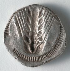 Stater: Ear of Corn incuse [stamped in] (reverse), 530-510 BC. Creator: Unknown