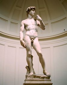 Statue of David, Accademia Gallery, Florence, Italy. Creator: Peter Thompson