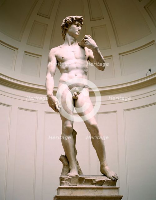 Statue of David, Accademia Gallery, Florence, Italy. Creator: Peter Thompson.