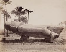 Statue of Ramesses II Resting on Its Back at Memphis, 19th century. Creator: Pascal Sébah